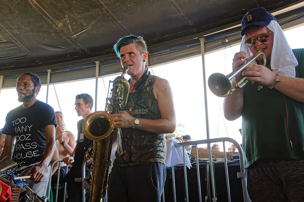 Too Many Zooz
